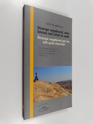 John Bradburne : Strange vagabond, who knows not what to ...
