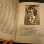 Leo Lehtonen: Lintuparatiisi (1.p.1945) Sis.postikulut - pikkukuva 4