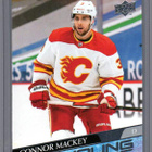 2020-21 Upper Deck - Young Guns - 1,50 € / kpl - pikkukuva 5
