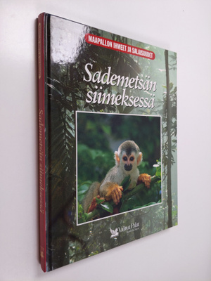 Linda Gamlin : Sademetsän siimeksessä