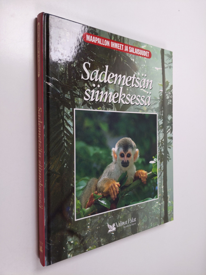 Linda Gamlin : Sademetsän siimeksessä