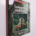 Linda Gamlin : Sademetsän siimeksessä - pikkukuva 1