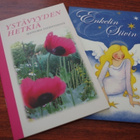 Enkelin siivin & Ystävyyden hetkiä - pikkukuva 1