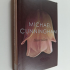 Michael Cunningham : Illan tullen - pikkukuva 1