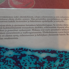 Solusta yksilöksi KEHITYSBIOLOGIA - pikkukuva 2