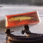 Joker lure - pikkukuva 1