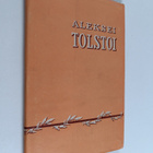 Aleksei Tolstoi : Kertomuksia - pikkukuva 1