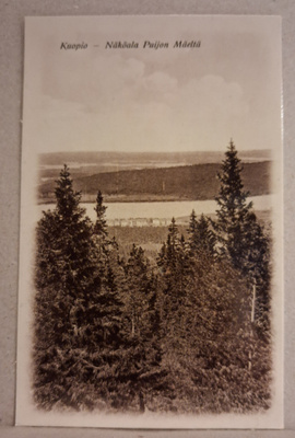 Kuopio: Näköala Puijon mäeltä * (921)