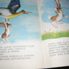 Pupu Tupuna vauhdissa  -nid - pikkukuva 3