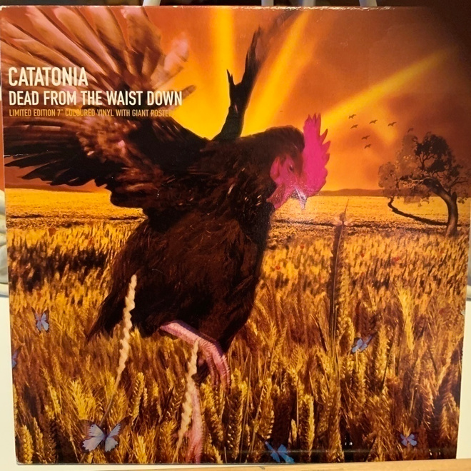 CATATONIA: Dead from the waist down * Branding A Mountain