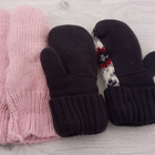 2 x lämmin vuoriset lapaset - pikkukuva 2