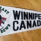 SOUTH EAST GOLDEN BOWS WINNIPEG CANADA JOUKKUEVIIRI - pikkukuva 2