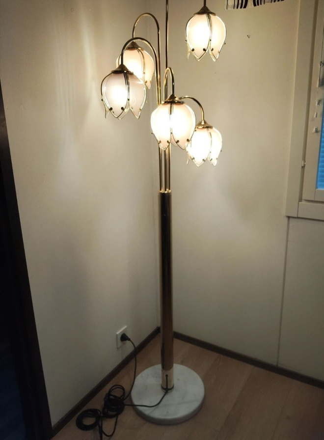 Kissankello lattiavalaisin himmentimellä