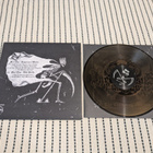 Inconcessus Lux Lucis - The Crowning Quietus (IP119) - pikkukuva 2