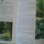 Puutarhan perennat / Kotipuutarha - pikkukuva 4