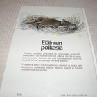 Björk - Lofterud Eläinten poikasia - pikkukuva 5