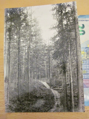VANHA Valokuva Punkaharju 1930-l