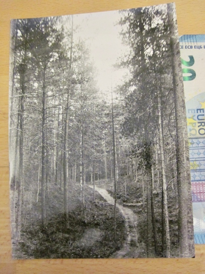 VANHA Valokuva Punkaharju 1930-l