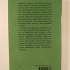 Paul Theroux : Suuri junamatka - pikkukuva 2