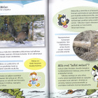 Sudenpentujen lintukäsikirja (sid. 2p. 2013) - pikkukuva 2