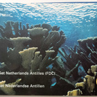 Alankomaiden Antillit 1992 vuosisarja, FDC - pikkukuva 1