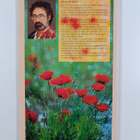 David Darom : Beautiful Plants of the Bible from the Hyss... - pikkukuva 2