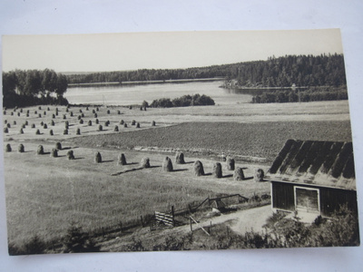 VANHA Postikortti Lohja Vivamo 1950-luku