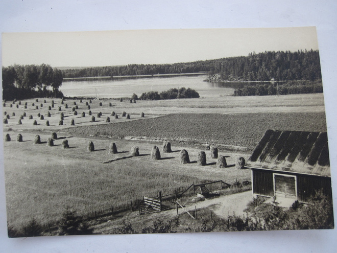 VANHA Postikortti Lohja Vivamo 1950-luku