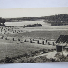 VANHA Postikortti Lohja Vivamo 1950-luku - pikkukuva 1