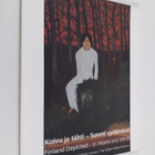 Koivu ja tähti : Suomi sydämissä = Finland depicted : in ... - pikkukuva 1