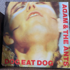 ADAM & THE ANTS:Dog Eat Dog * Physical * EUR 1980 - pikkukuva 1