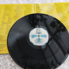LP Stevie Wonder – Hotter Than July - pikkukuva 2