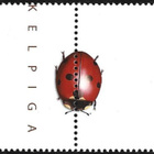 Ål 2006 Kovakuoriaisia 0,65 € välilöpari numero ** LaPe 260 - pikkukuva 2