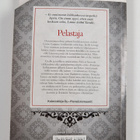 Johanna Salo : Pelastaja - pikkukuva 2