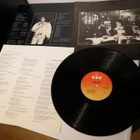 Bob Dylan: Street - Legal LP - pikkukuva 2