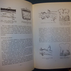 PYYKINPESU (Kotitalosukeskus 1962) Sis.postikulut - pikkukuva 4