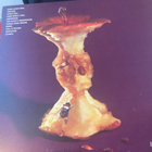 Eden’s Children: Sure Looks Real LP - pikkukuva 2