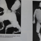 KIRJA Lehti dokumentti Hiroshima Japan 1945 - pikkukuva 5