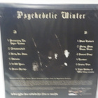 ARMANENSCHAFT - PSYCHEDELIC WINTER VG+/M- LP + - pikkukuva 2
