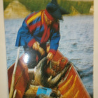 Tenojoki, lappilainen lohenkalastaja, väripk, p. 1983 - pikkukuva 1