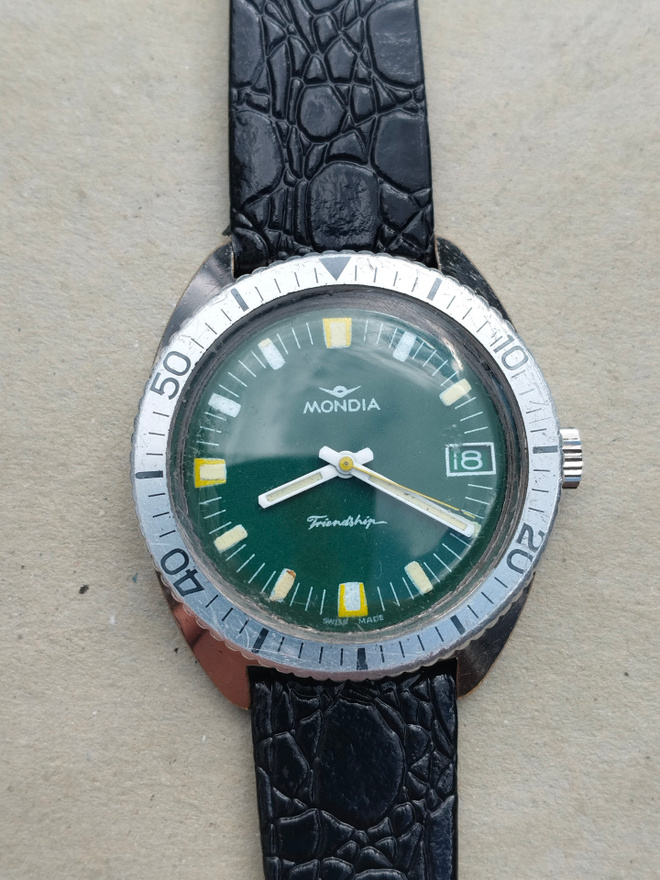 Mondia diver