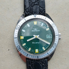 Mondia diver - pikkukuva 1