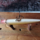 Rapala Floating Finland 6cm TR - pikkukuva 4