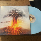 Amorphis vinyl collection 2006-2020 - pikkukuva 5