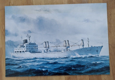 Laivakuva 40*58 cm Pallas