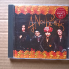 4 Non Blondes - Bigger Better Faster More CD - pikkukuva 1