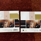 SIMPLE MINDS - CRY - CD - pikkukuva 2