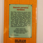 Colorado 7/1985 : Veljekset vastakkain - pikkukuva 2