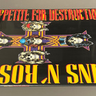 GUNS N’ ROSES: Appetite For Destruction - LP, uusi - pikkukuva 3