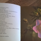 Jörg Zink : Rakkaus on valoa täynnä - pikkukuva 3